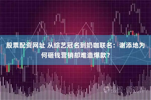 股票配资网址 从综艺冠名到奶咖联名：谢添地为何砸钱营销却难造爆款？