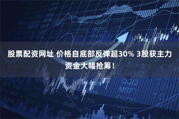股票配资网址 价格自底部反弹超30% 3股获主力资金大幅抢筹！